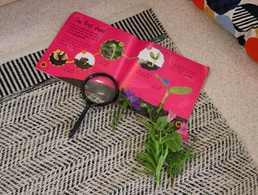 Larkhill Garrison Nursery photo